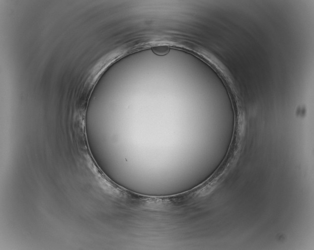 X0000113990809200910231728