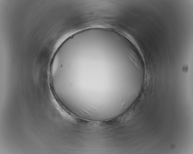 X0000113990811200910231728