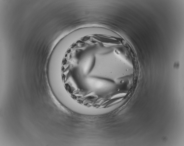 X0000113990813200910231728