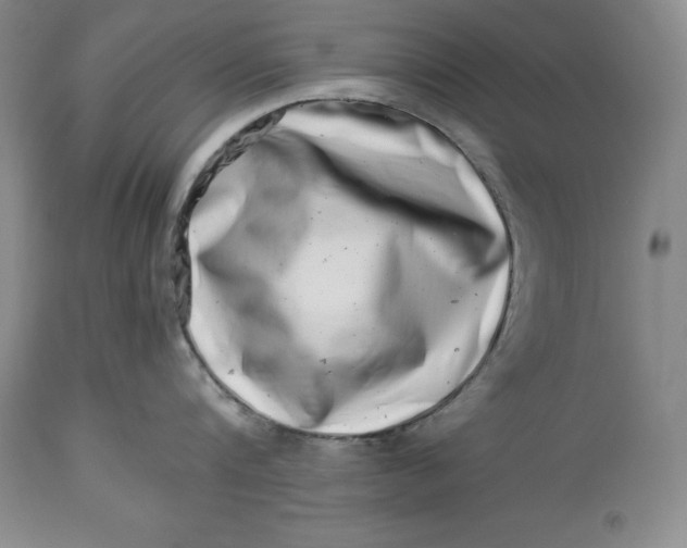 X0000113990816200910231728