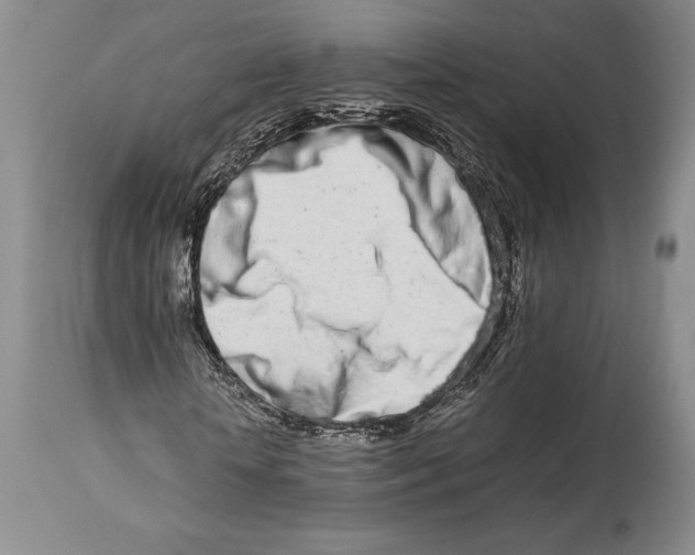 X0000113990818200910231727