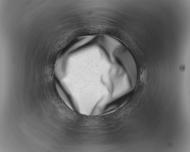 X0000113990819200910231727