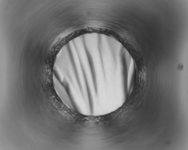 X0000113990822200910231727