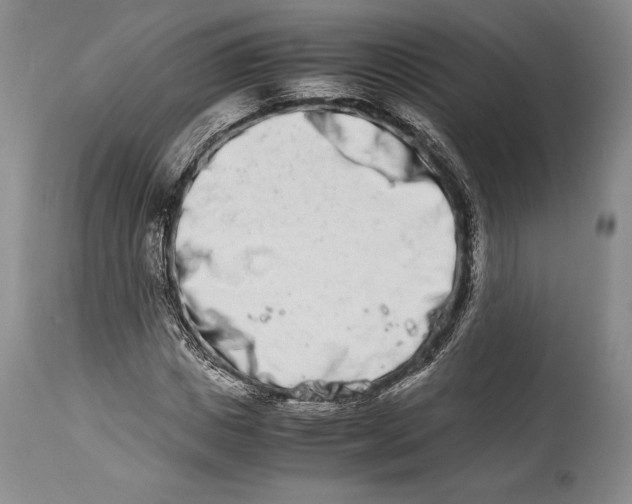 X0000113990825200910231727