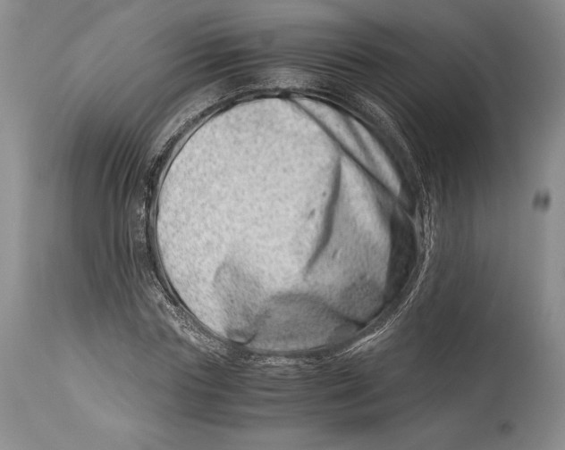 X0000113990827200910231727