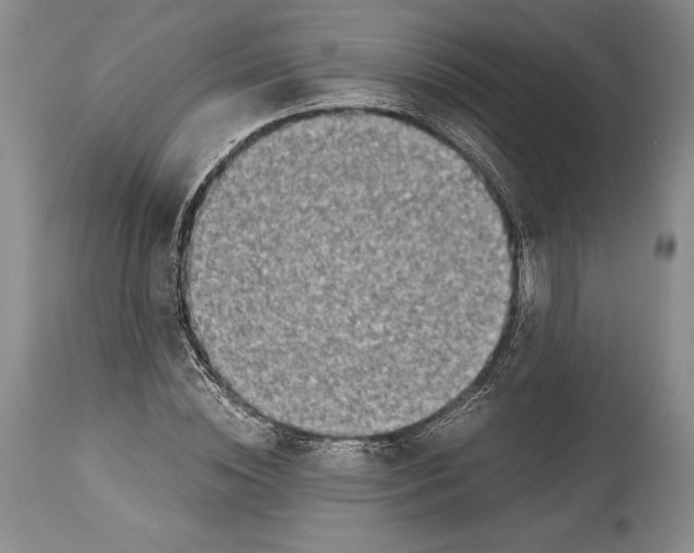 X0000113990828200910231727