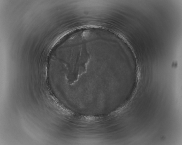 X0000113990829200910231727