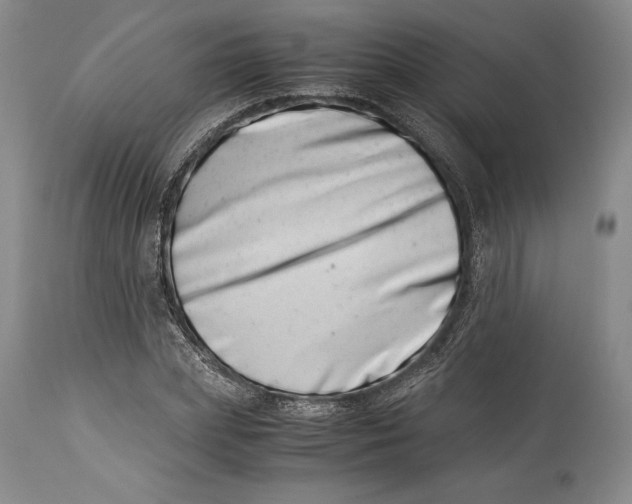 X0000113990831200910231728