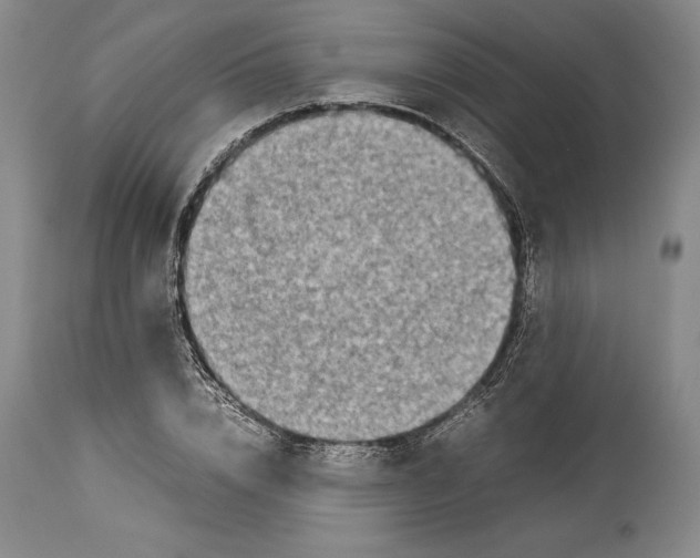 X0000113990832200910231728