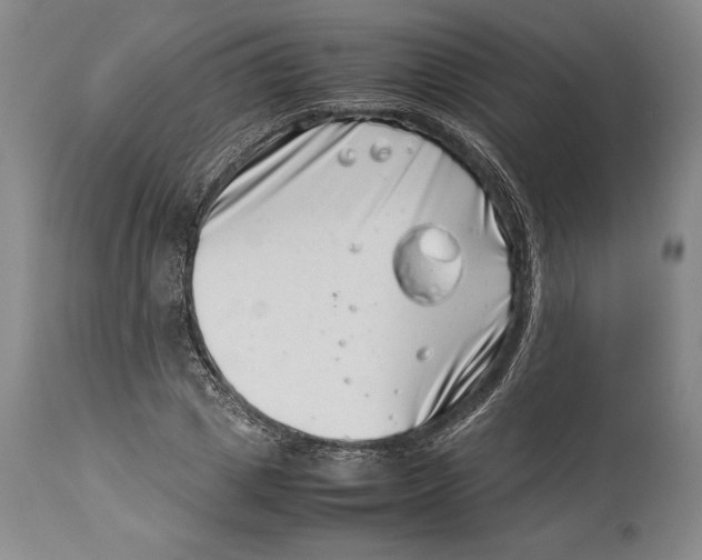 X0000113990833200910231728