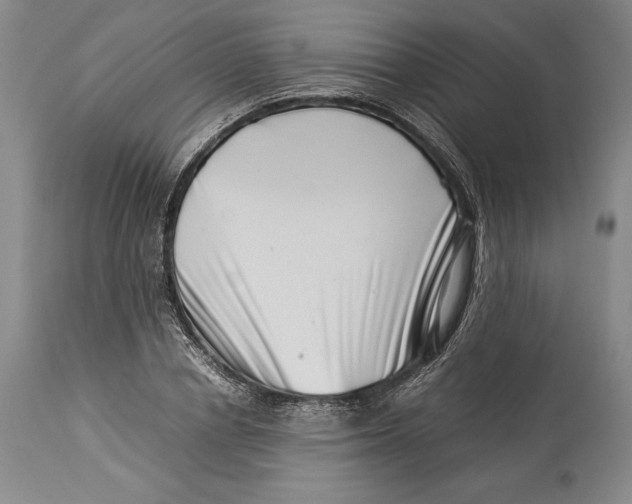 X0000113990834200910231728