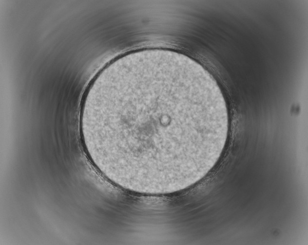 X0000113990836200910231728