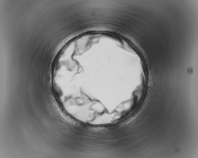 X0000113990837200910231728