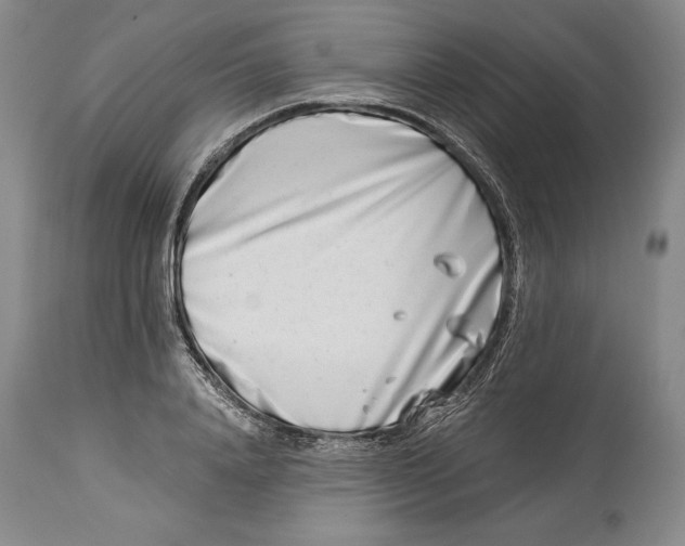 X0000113990840200910231728