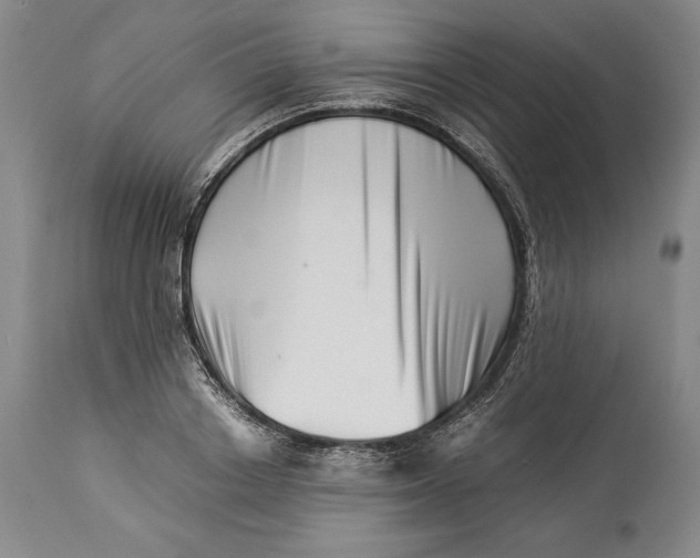 X0000113990842200910231728