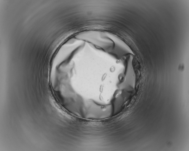 X0000113990844200910231728