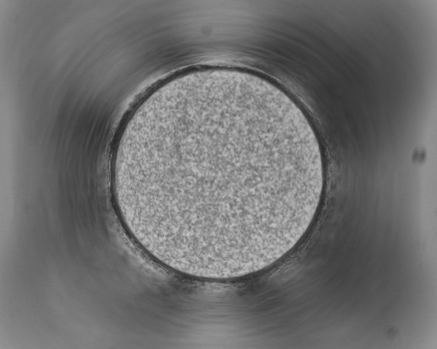 X0000113990848200910231728