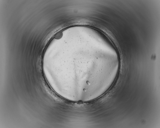 X0000113990850200910231728