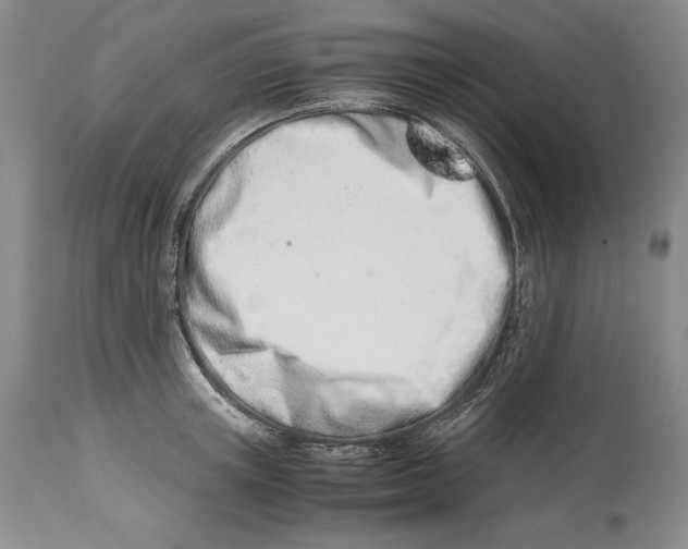 X0000113990851200910231728