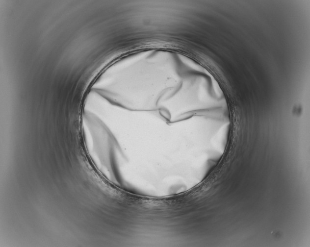 X0000113990852200910231728