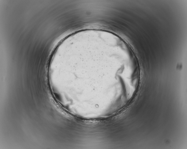 X0000113990854200910231728