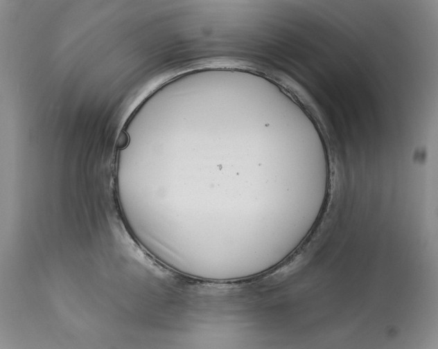 X0000113990860200910231728