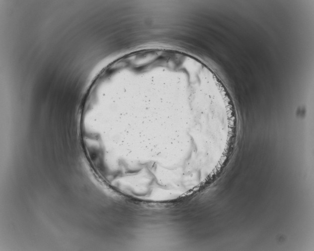 X0000113990862200910231728