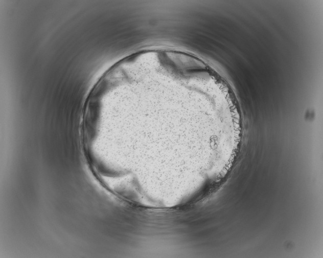 X0000113990863200910231728