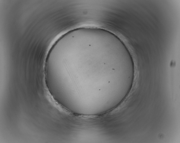 X0000113990864200910231728