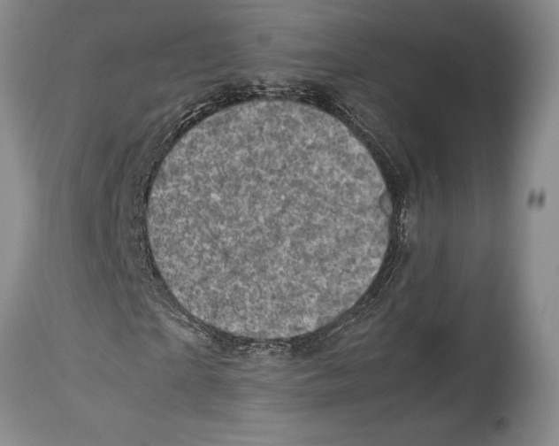 X0000113990865200910231727