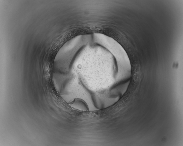 X0000113990866200910231727