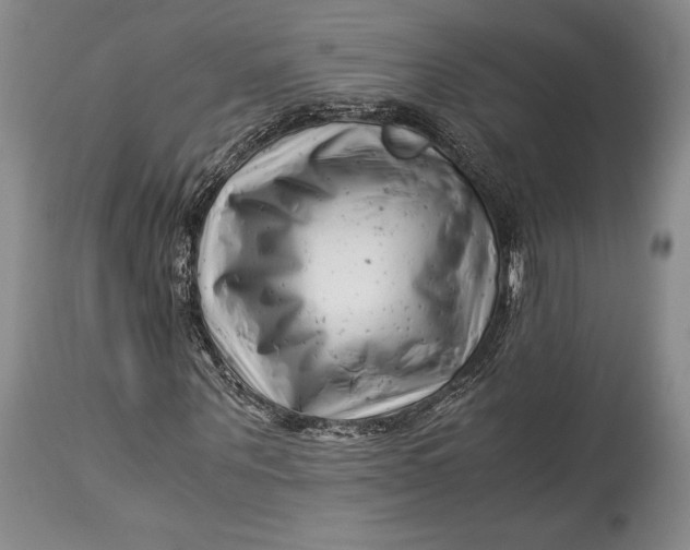 X0000113990867200910231727