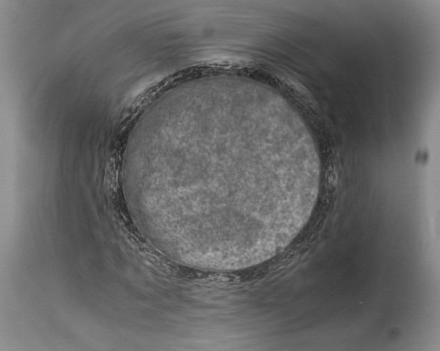 X0000113990869200910231727