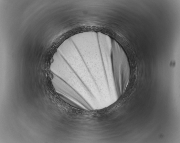 X0000113990870200910231727