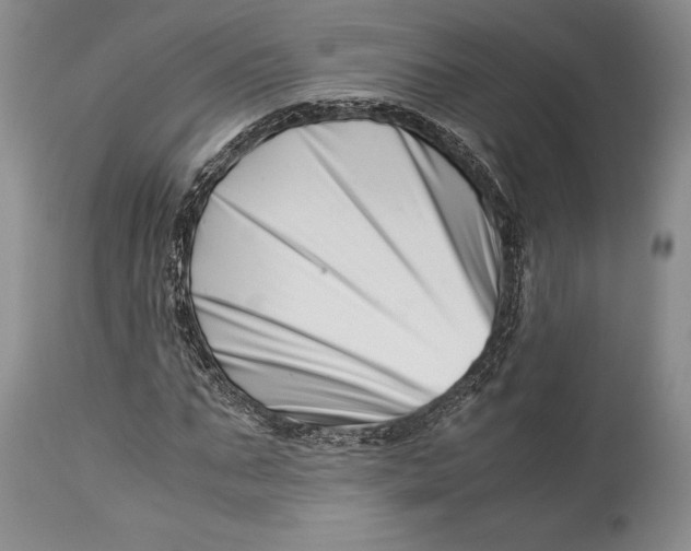 X0000113990871200910231727