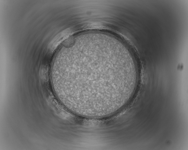 X0000113990873200910231727