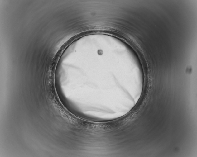 X0000113990875200910231727