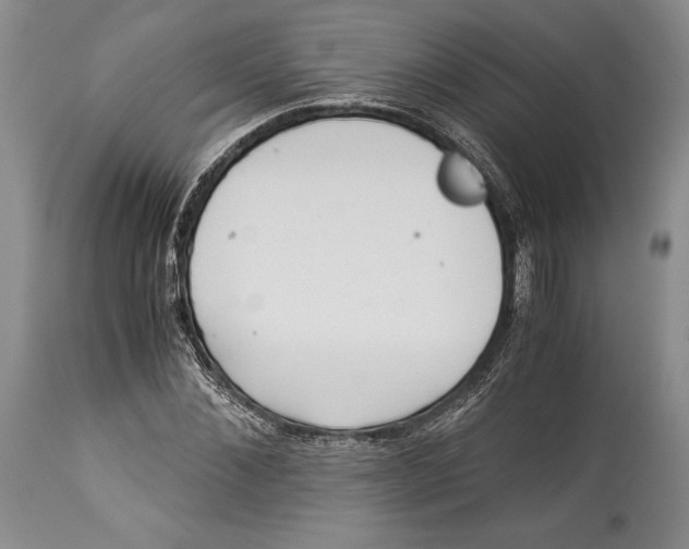 X0000113990876200910231727