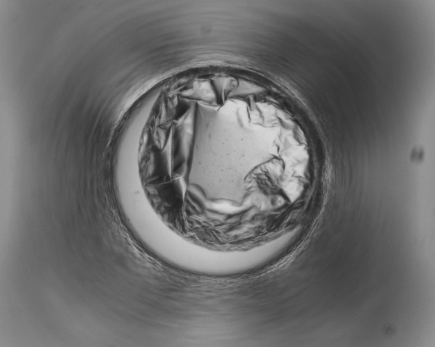 X0000113990877200910231727