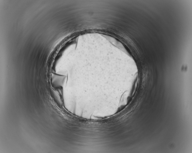 X0000113990878200910231727