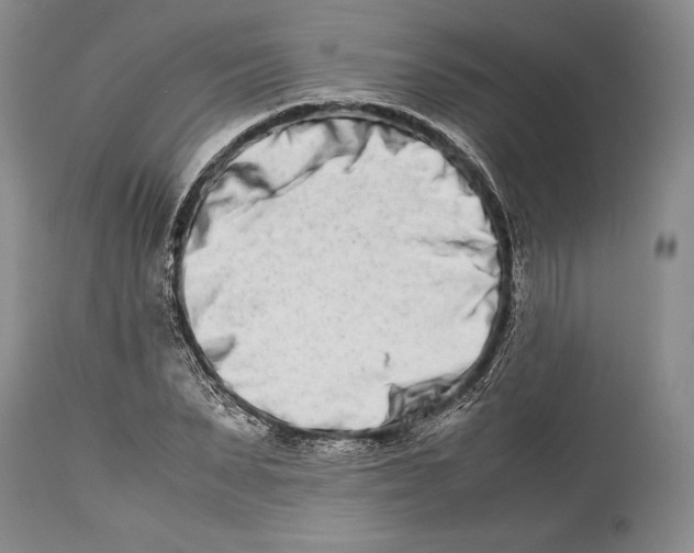 X0000113990879200910231727