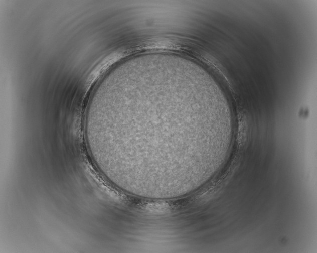 X0000113990882200910231727