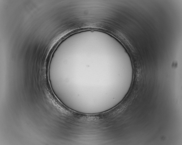 X0000113990884200910231727