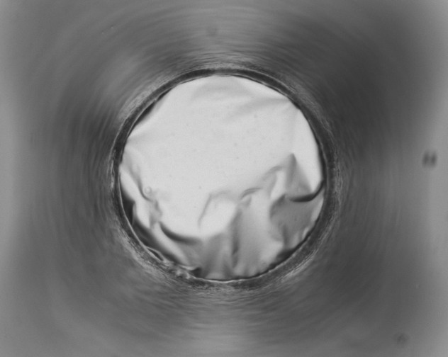 X0000113990885200910231727