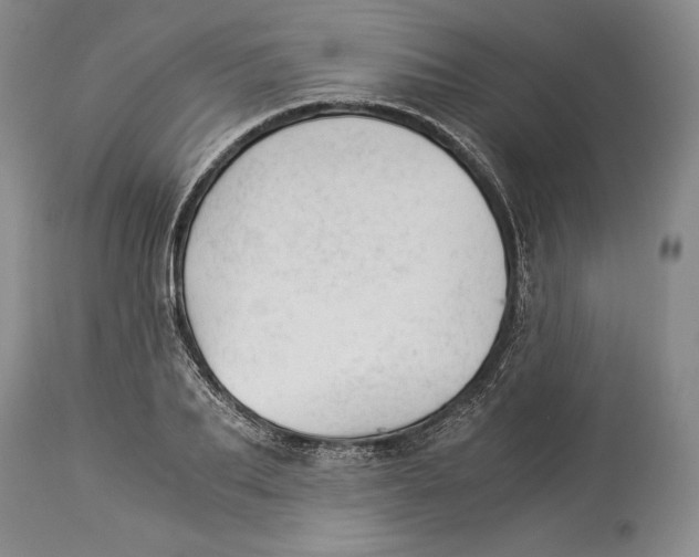 X0000113990887200910231727