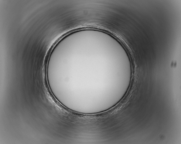 X0000113990888200910231727