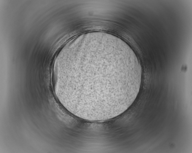 X0000113990890200910231727