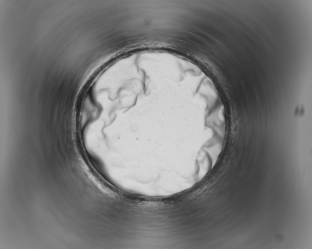 X0000113990894200910231727