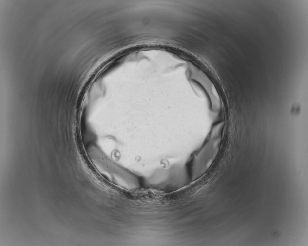 X0000113990895200910231727