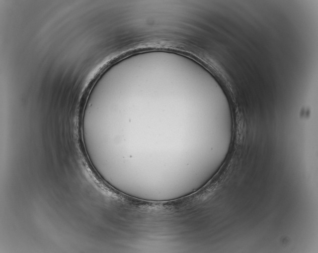 X0000113990896200910231727